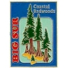 BIG SUR PIN CALIFORNIA COASTAL REDWOODS PIN